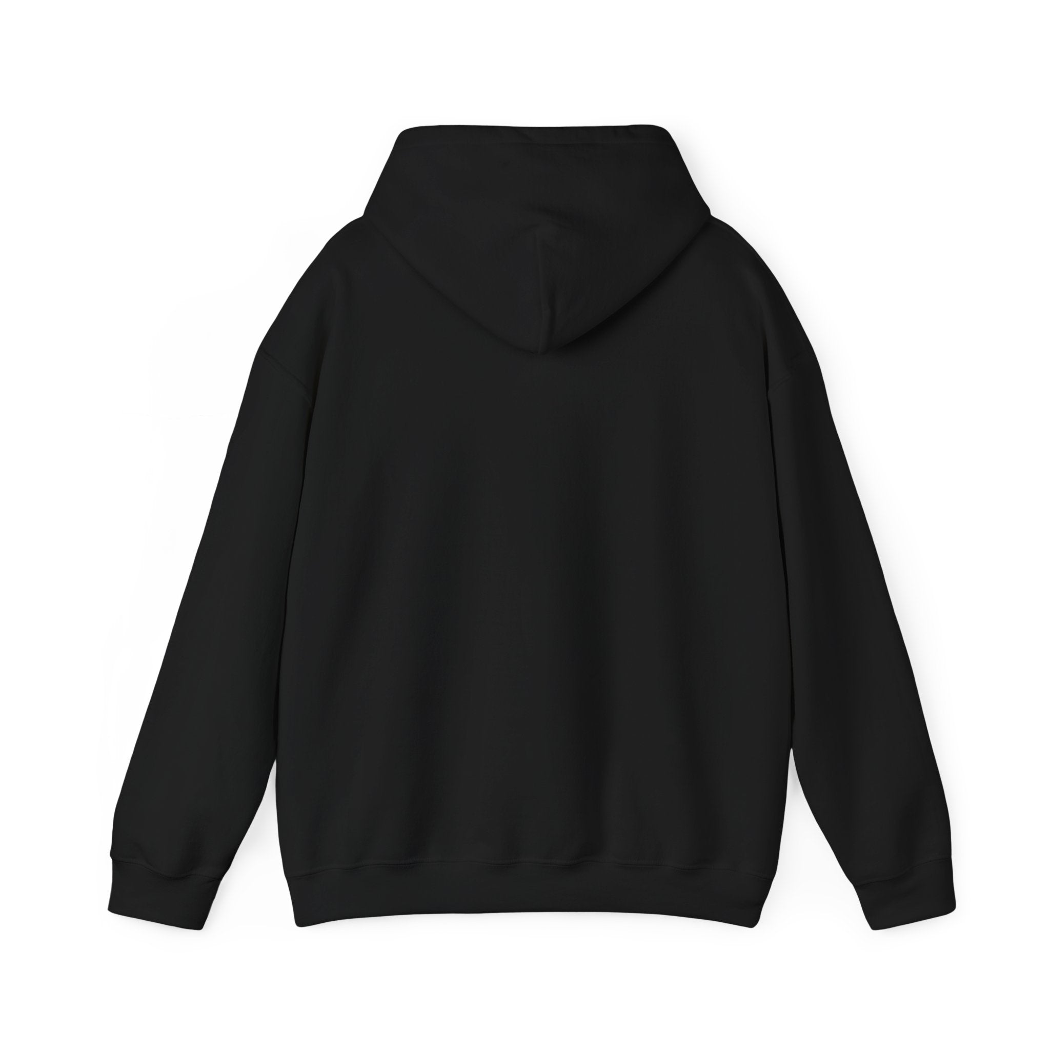Zambezi Waterfall Logo Hoodie – "Zambezi's Own" Scenic Graphic Sweatshirt