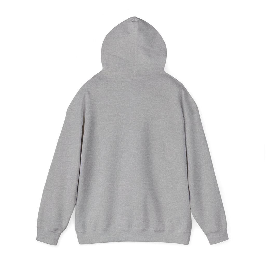 Zambezi Waterfall Logo Hoodie – "Zambezi's Own" Scenic Graphic Sweatshirt