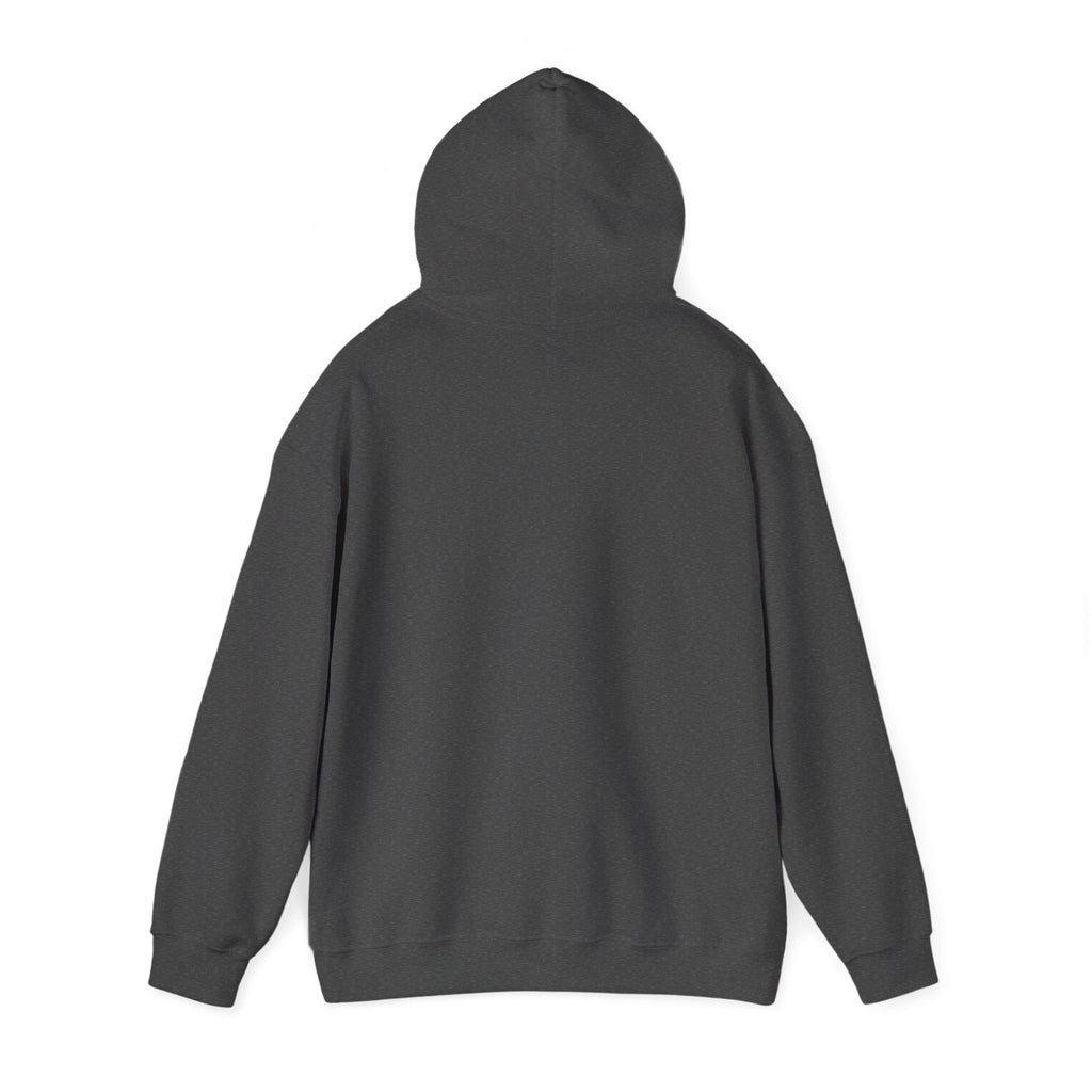 Zambezi Waterfall Logo Hoodie – "Zambezi's Own" Scenic Graphic Sweatshirt